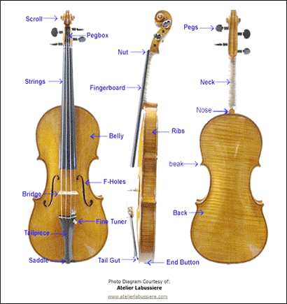 pieces of a violin picture